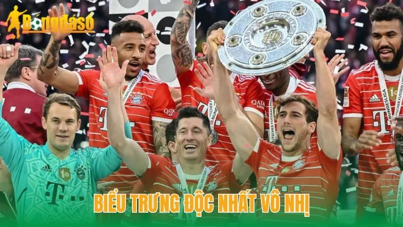 Biểu trưng độc nhất vô nhị