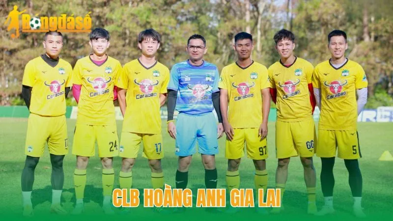 CLB Hoàng Anh Gia Lai